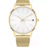 Tommy Hilfiger Ceas de dama Quartz, 41mm, 3ATM