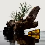 Burberry - Hero Apa de parfum