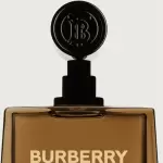 Burberry - Hero Apa de parfum